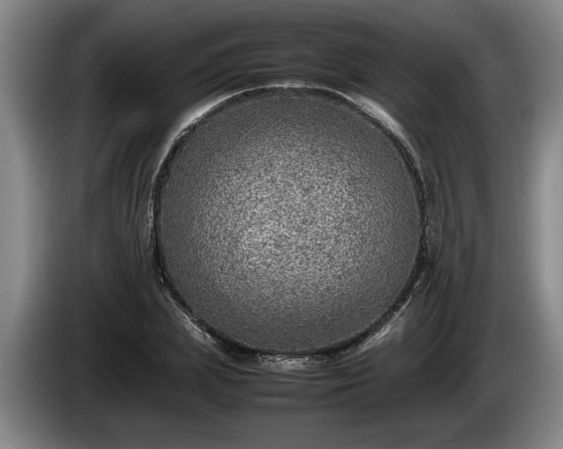 X0000086230831200704051154