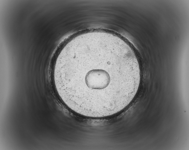 X0000086230832200704051154