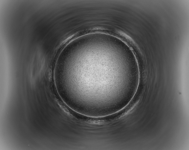 X0000086230833200704051154