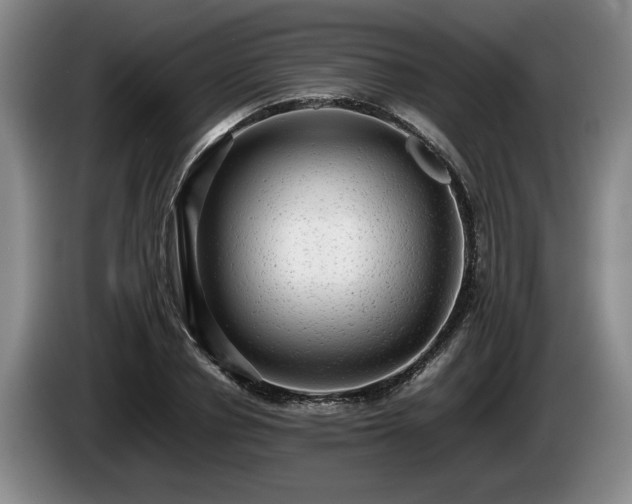 X0000086230834200704051154