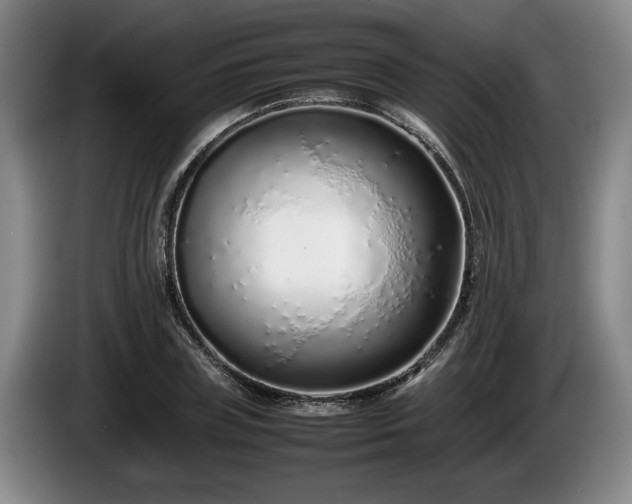 X0000086230835200704051154