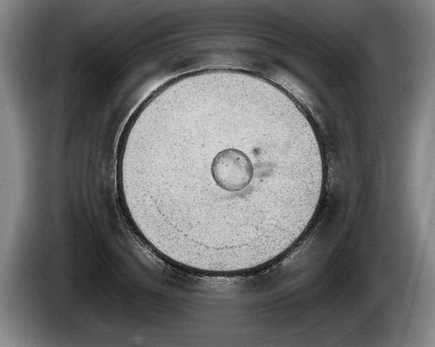 X0000086230836200704051154