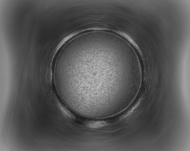 X0000086230837200704051154