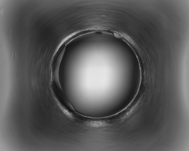 X0000086230838200704051154