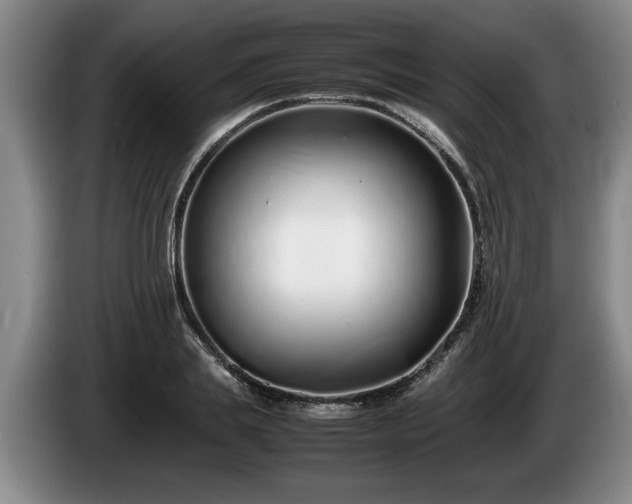 X0000086230839200704051154
