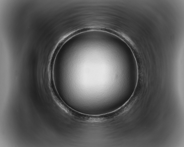 X0000086230840200704051154