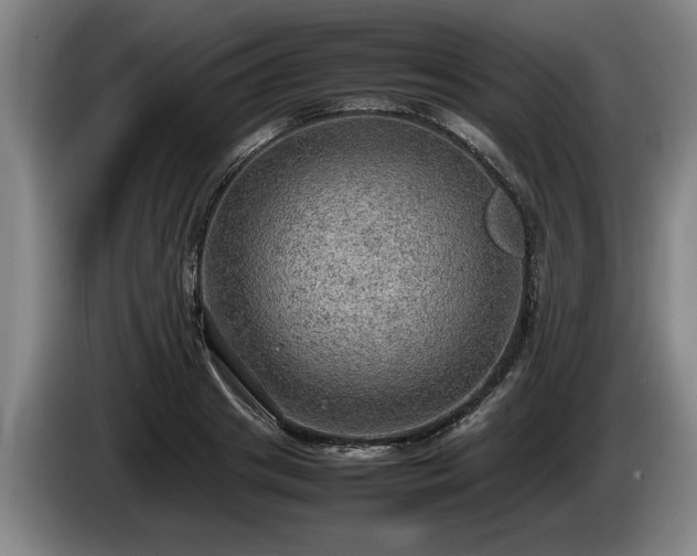 X0000086230841200704051154