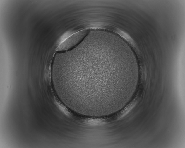 X0000086230842200704051154