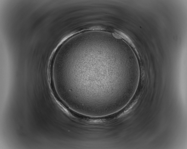X0000086230843200704051154