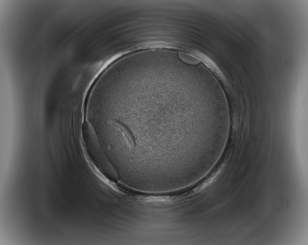 X0000086230844200704051154