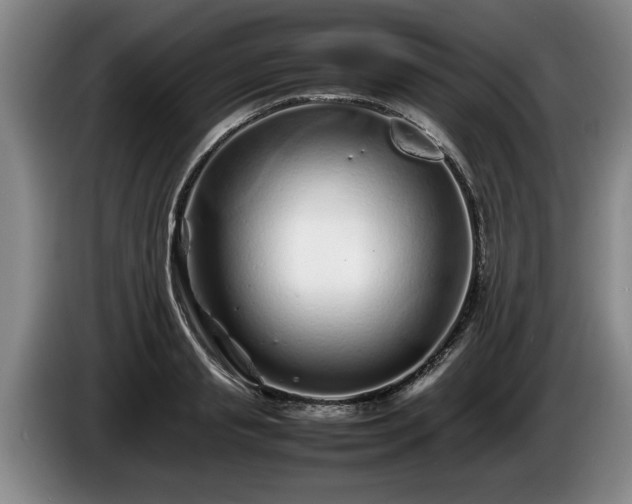X0000086230845200704051154