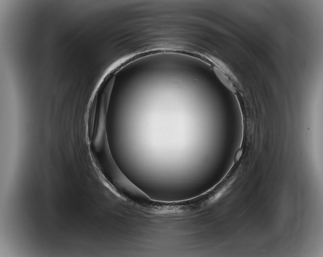 X0000086230846200704051155
