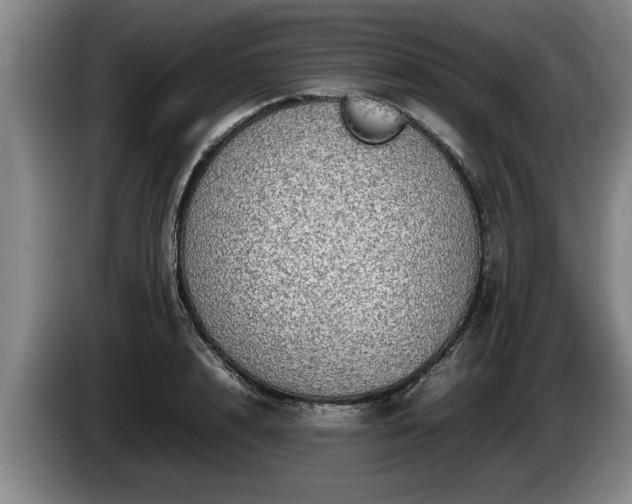 X0000086230848200704051155