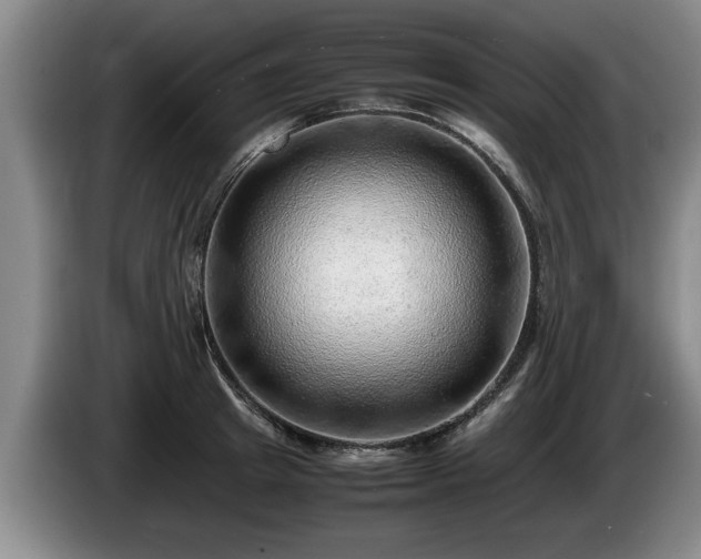 X0000086230849200704051155