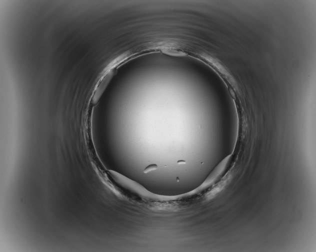 X0000086230850200704051155