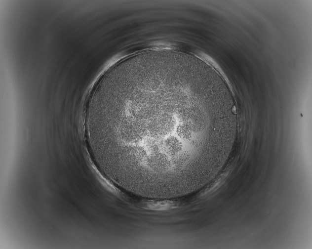 X0000086230851200704051155