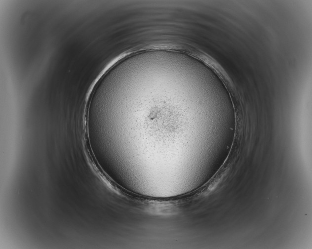 X0000086230852200704051155