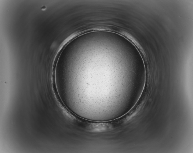X0000086230853200704051155