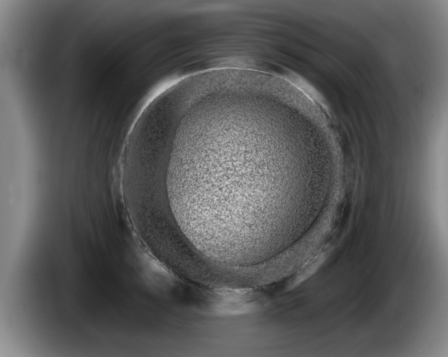 X0000086230854200704051155