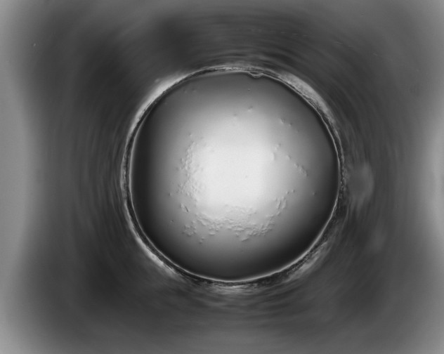 X0000086230855200704051155