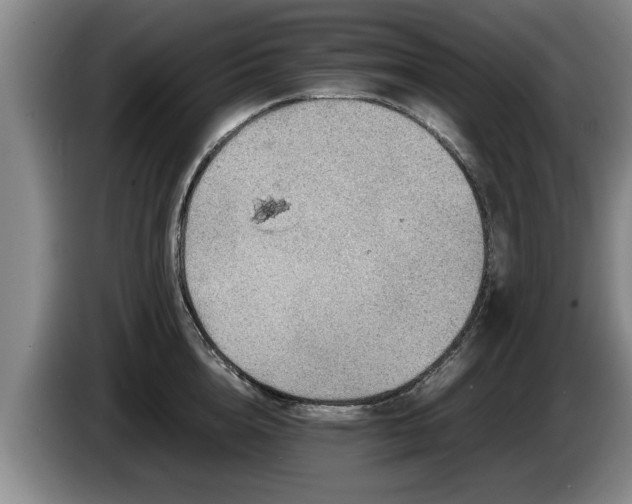 X0000086230856200704051155