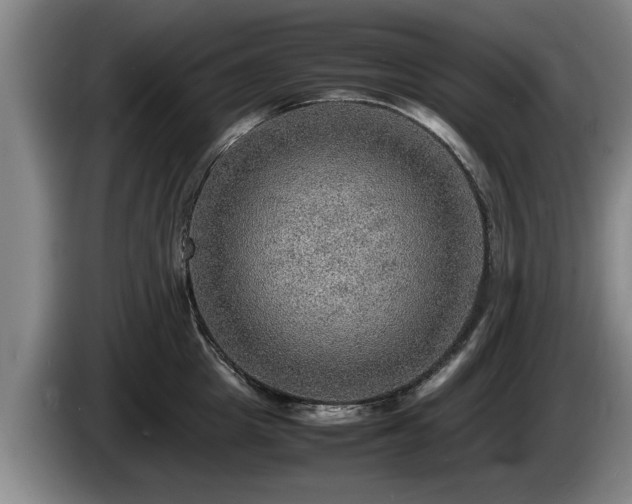X0000086230857200704051155