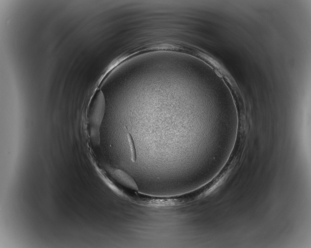 X0000086230858200704051155