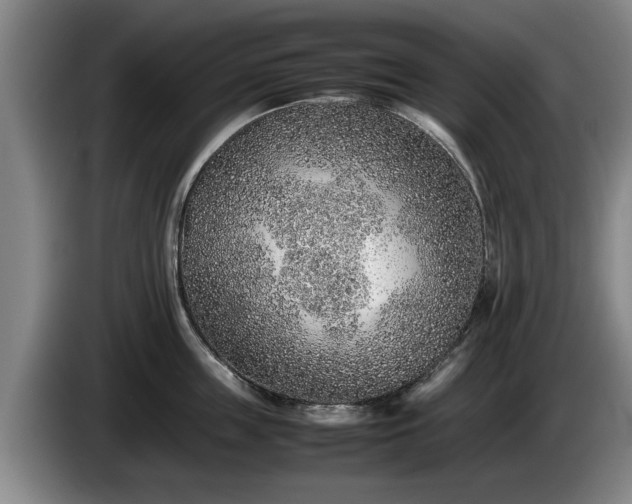 X0000086230859200704051155