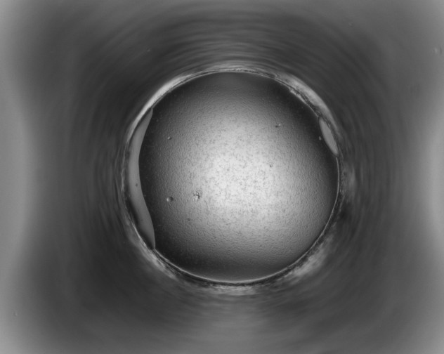 X0000086230860200704051155