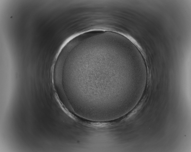 X0000086230862200704051155