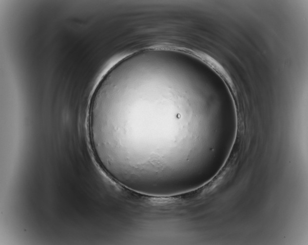 X0000086230863200704051155
