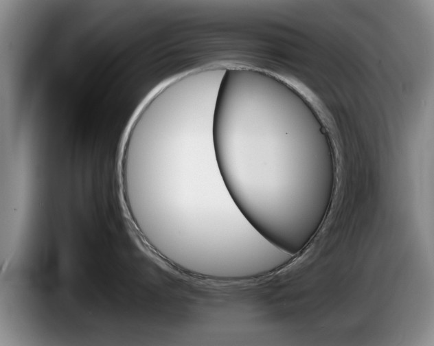 X0000086230864200704051155