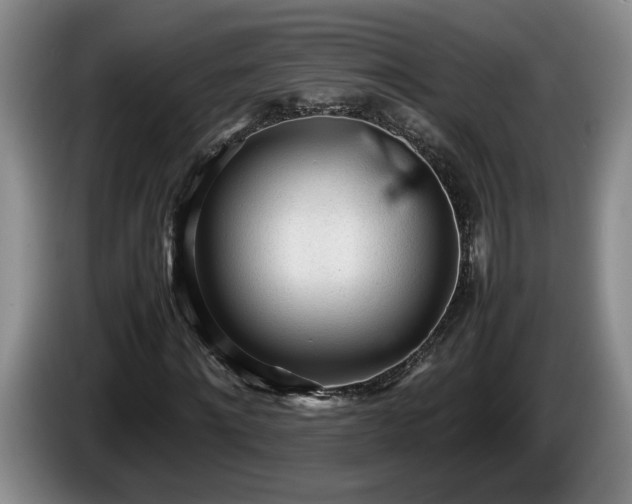 X0000086230868200704051154