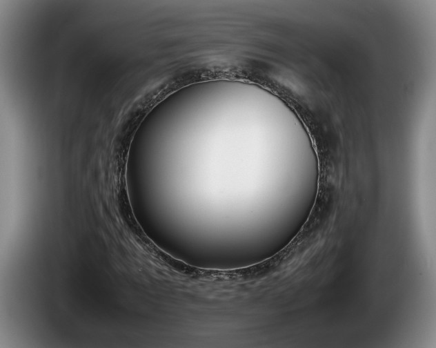 X0000086230869200704051154