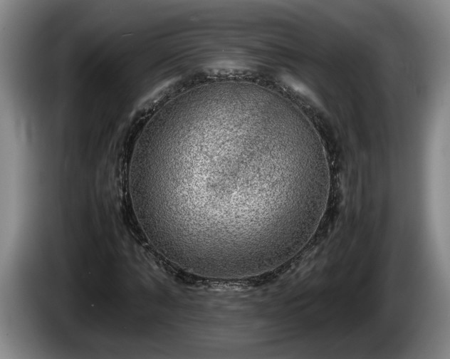 X0000086230870200704051154