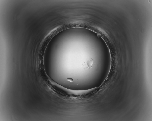 X0000086230872200704051154