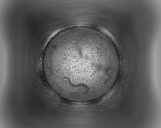 X0000086230875200704051154