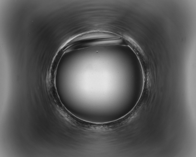 X0000086230876200704051154