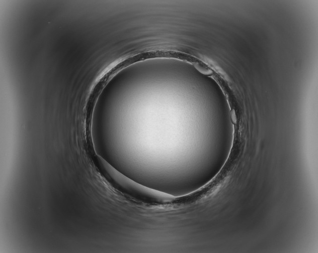 X0000086230877200704051154