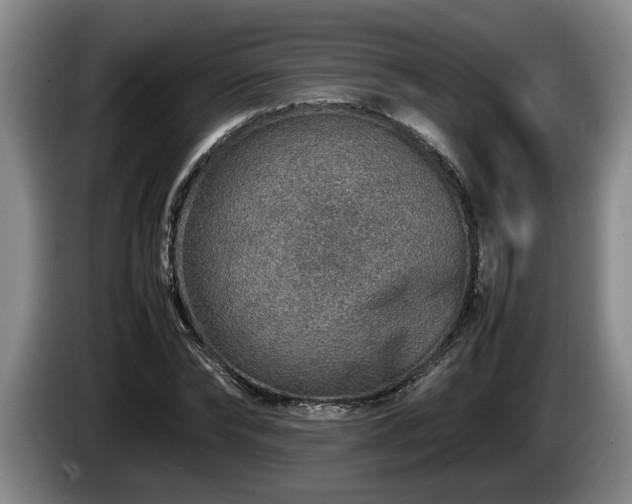 X0000086230878200704051154