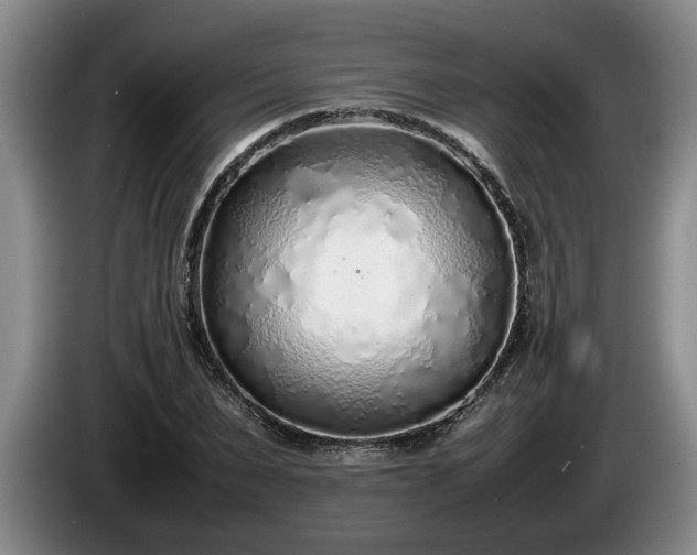 X0000086230879200704051154
