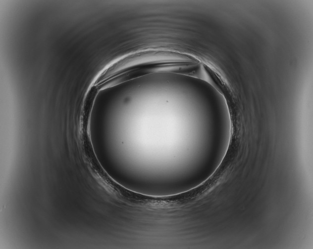 X0000086230880200704051154