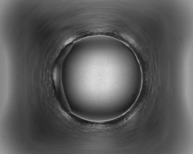 X0000086230881200704051154