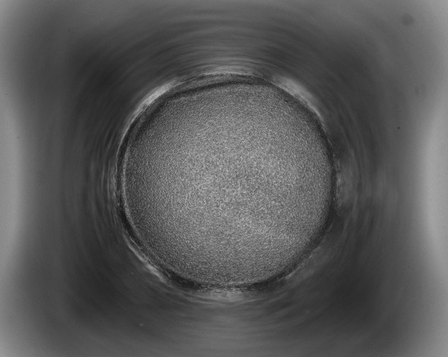 X0000086230882200704051154