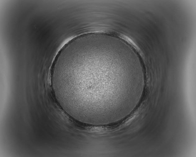X0000086230883200704051154