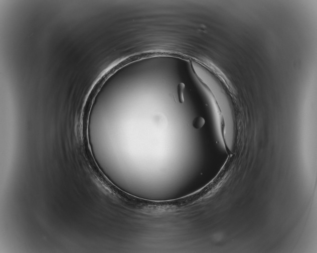 X0000086230884200704051154