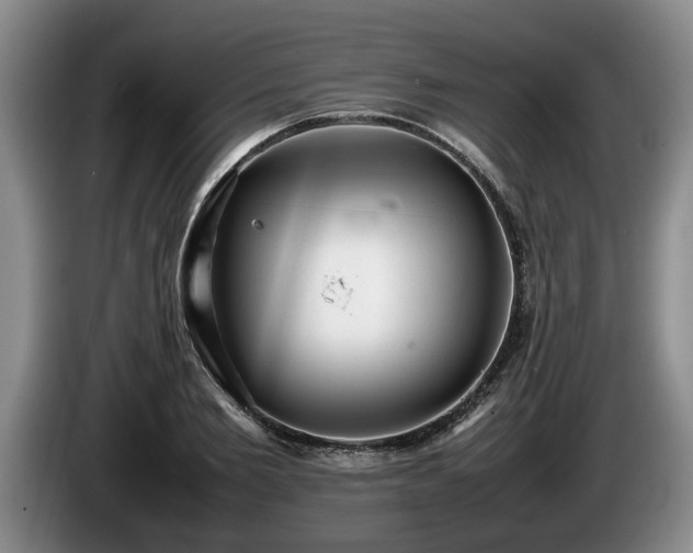 X0000086230885200704051154