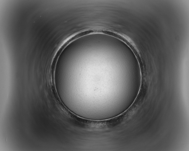 X0000086230887200704051154