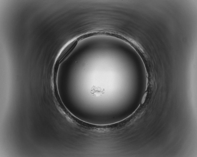 X0000086230888200704051154
