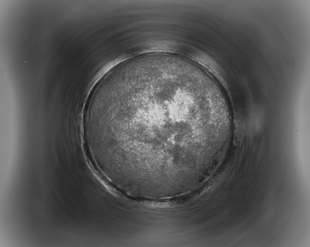 X0000086230890200704051154
